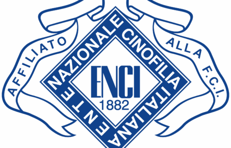sponsor enci